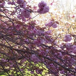 Meet your Posher, Gwyneth